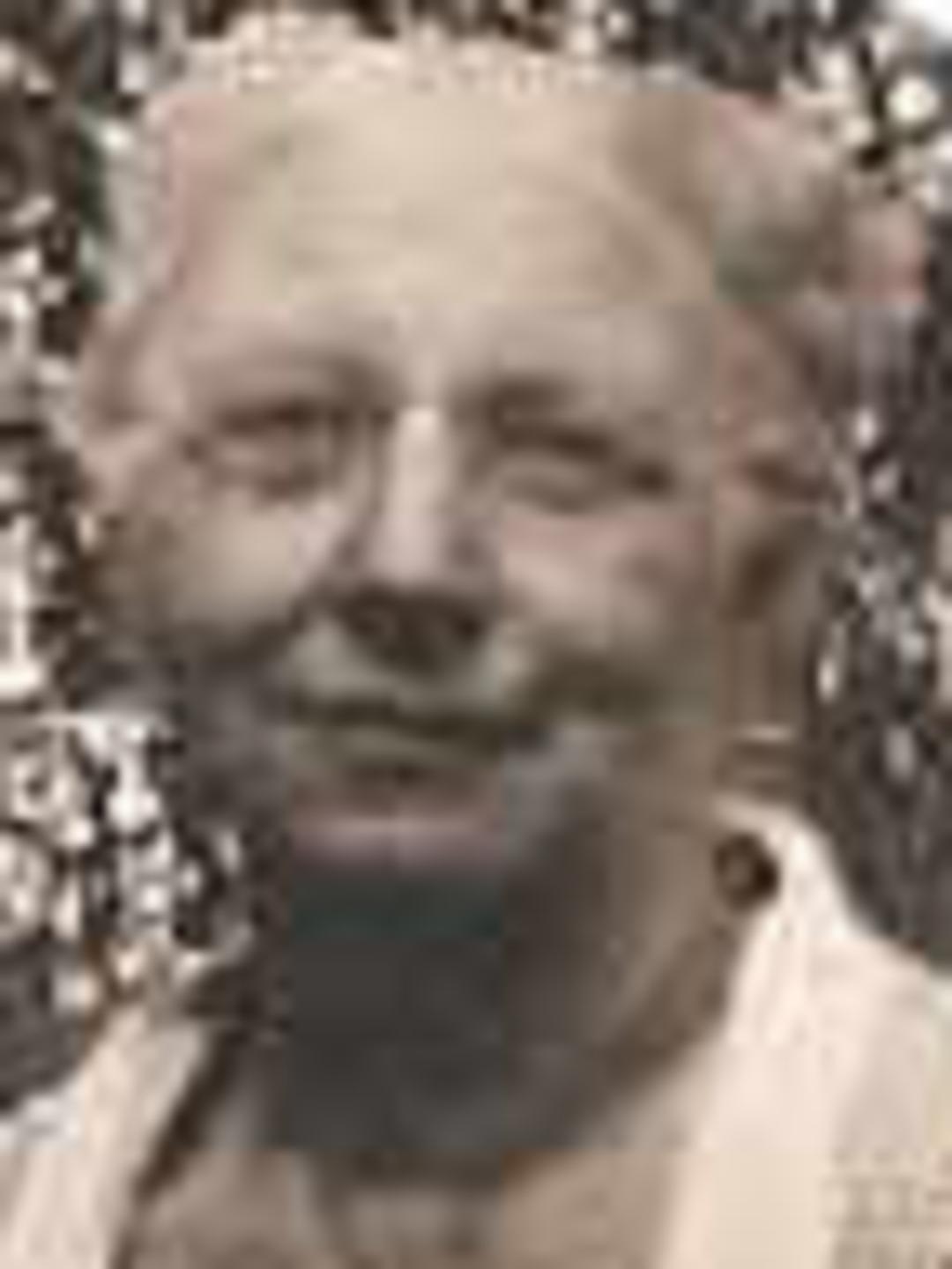 Elizabeth Emma Brewer (1860 - 1942) Profile
